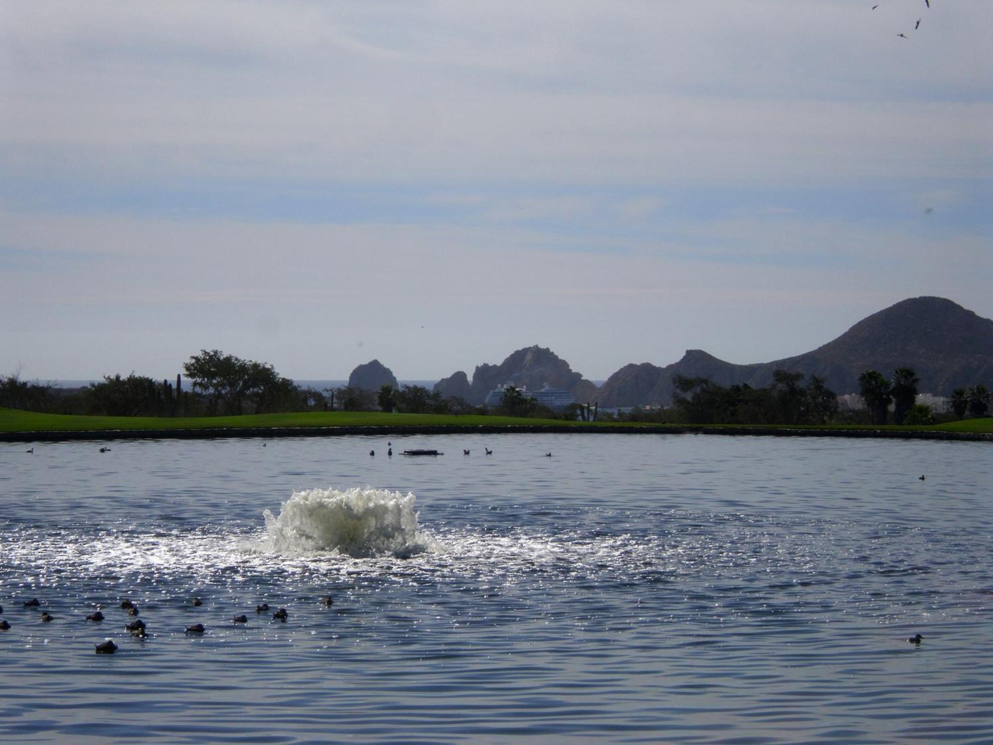 Los Cabos Golf Resort, Trademark Collection By Wyndham Cabo San Lucas Esterno foto